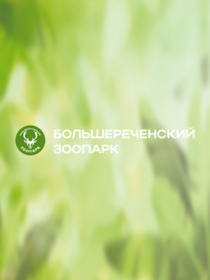 Чернышова Оксана Александровна 